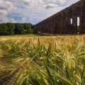 old viaduct bridge over wheat field