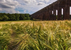 old viaduct bridge over wheat field