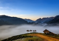 thatched lodge on a hilltop in morning fog