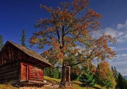 log hut on a mountainside