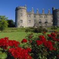 Castle and Rose garden in Ireland