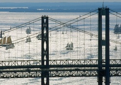 sailboat regatta by chesapeake bay bridges