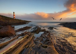 lighthouse above a rocky sea inlet