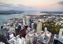 view from sky tower in auckland new zealand