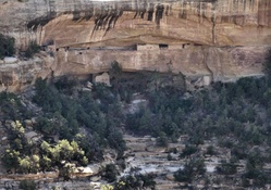Cliff Dwelling at Mesa Verde