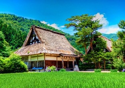 Houses in Shirakawa, Gifu _ Japan