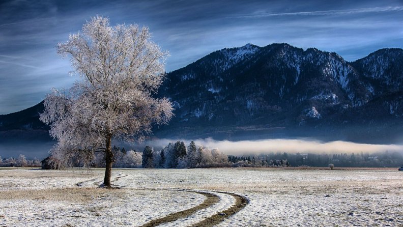 farm_at_the_foot_of_bavarian_mountains_in_winter.jpg