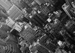 new york city urban scape in black and white
