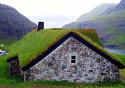 sod roof on a stone cottage in the faroe island