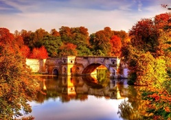 Beautiful Bridge in Autumn Forest