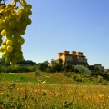 Castello di Torrechiara_Italy