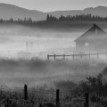 morning fog on an oregon farm