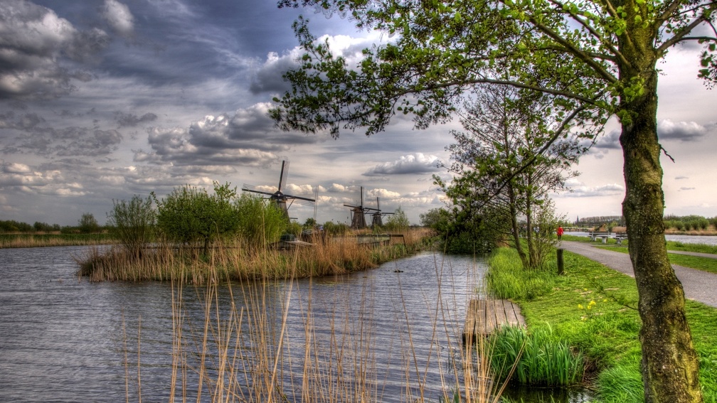 windmills in holland  hdr