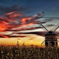 windmill in a field under fiery skies