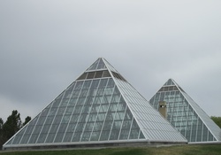 The Glass Botanical Gardens
