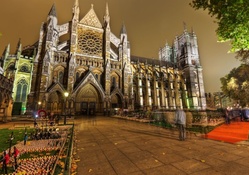 glorious cathedral at night