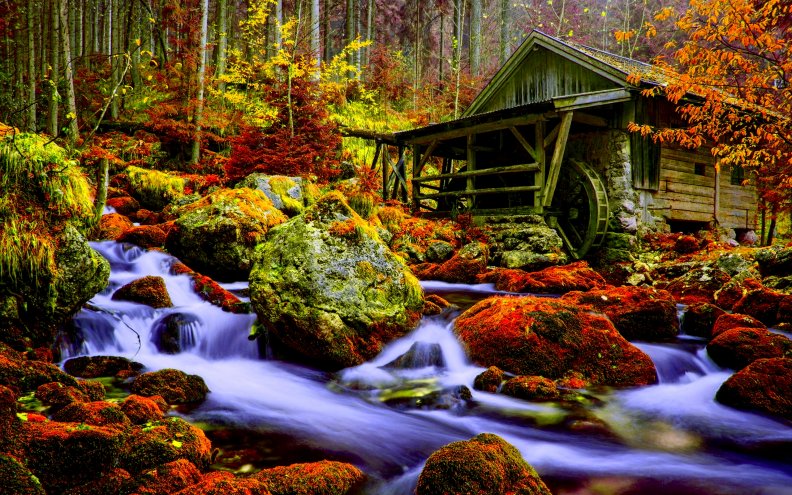 autumn_creek_amp_water_mill.jpg