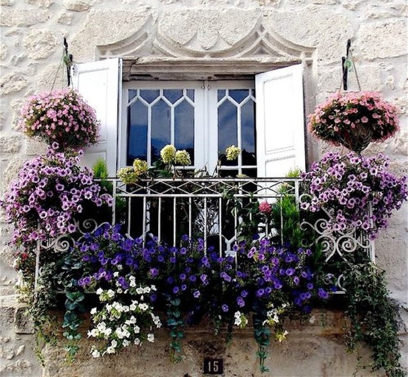 lovely flowering balcony