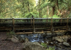 wonderful bridge over a stream in a fern jungle hdr