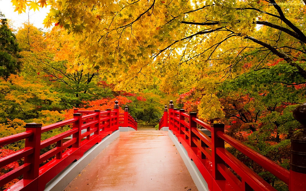 Autumn bridge