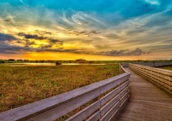 wooden boardwalk over wetlands
