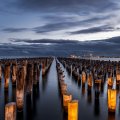 rows and rows of wooden pylons