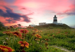 lighthouse on a hill surrounded by flowers