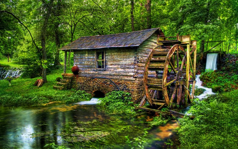 Watermill in Forest