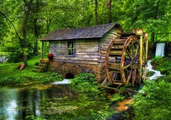 Watermill in Forest