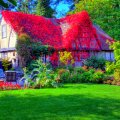 Beautiful cottage