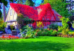 Beautiful cottage