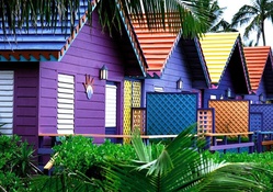 Caribbean Houses _in lavender