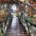 lovely wooden bridge on a rainy autumn day
