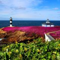 Pancha island lighthouse_Galicia, Spain