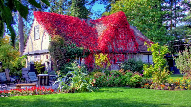 fantastic red vine covered country home hdr