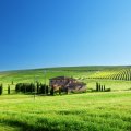 wonderful italian farm