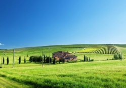 wonderful italian farm