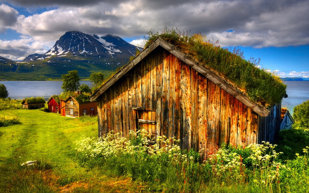 Norwegian traditional houses