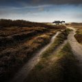 dirt road to a house in the dunes