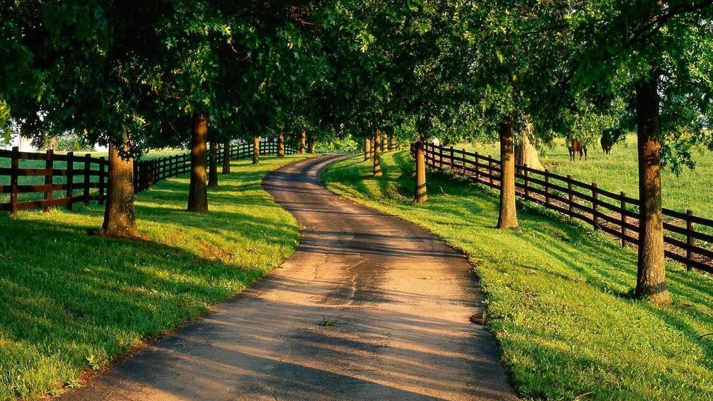 country road through horse farms