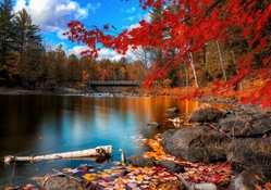 wooden bridge on a beautiful autumn river