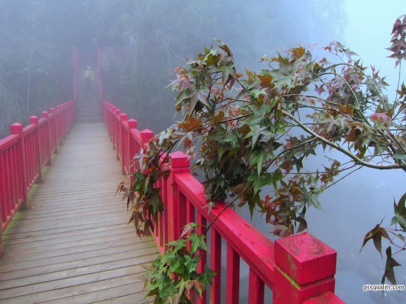 bridge_in_foggy.jpg