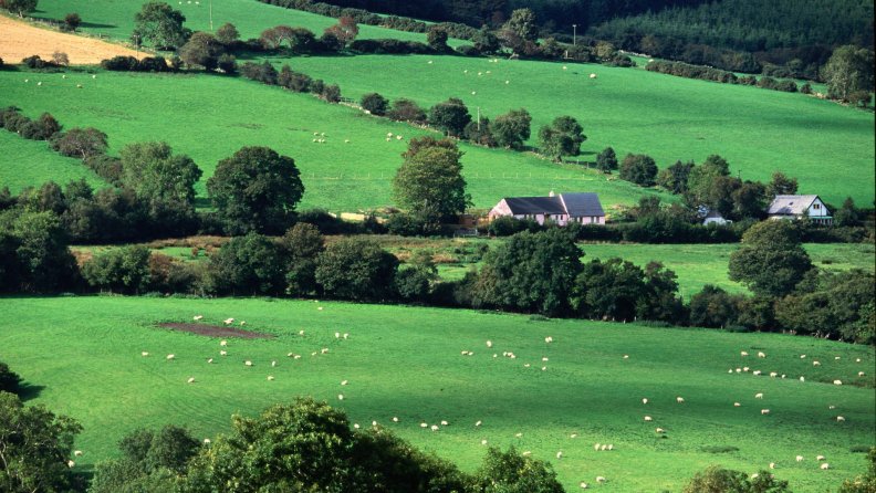 farms_in_county_cork_ireland.jpg
