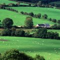 farms in county cork ireland