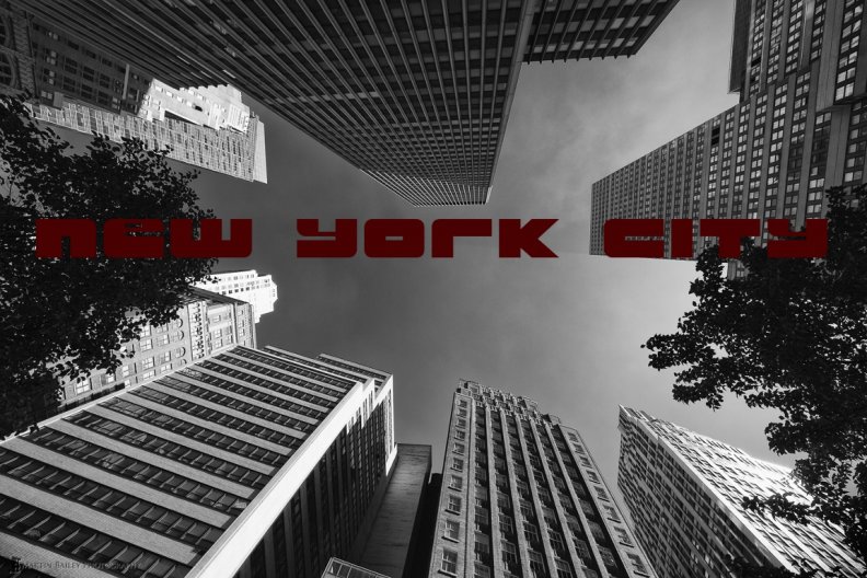 new_york_ity.jpg