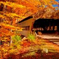 Autumn covered bridge