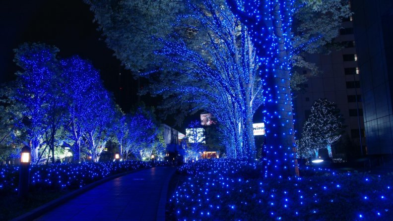 beautiful christmas lights in japan