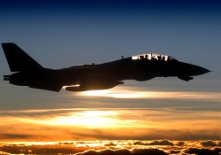 f14 tomcat silhouette at sunset