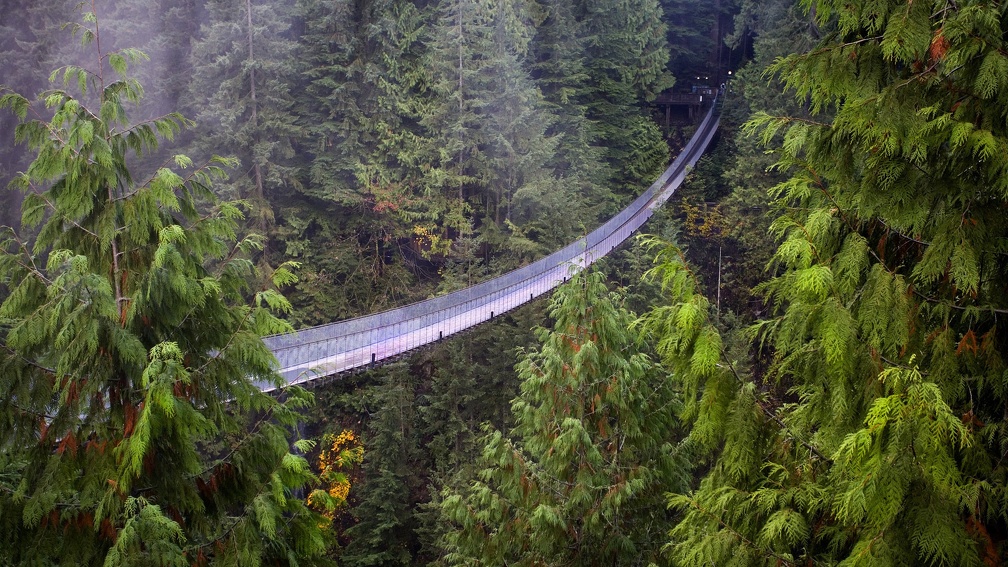 Capilano Suspension Bridge, British Columbia
