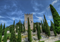 tower among the cypresses